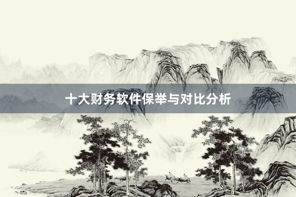 十大财务软件保举与对比分析