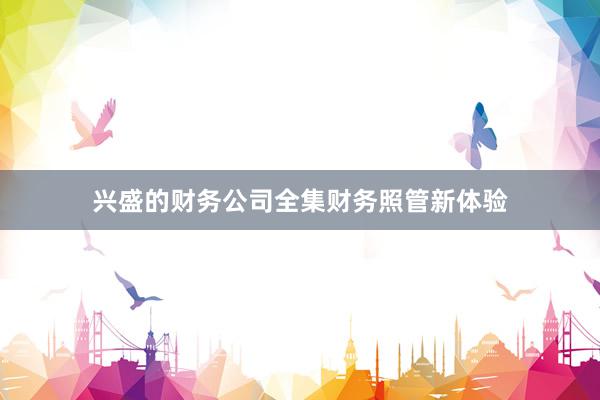 兴盛的财务公司全集财务照管新体验